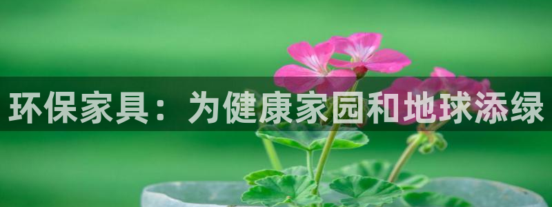 杏耀代理主管qq
