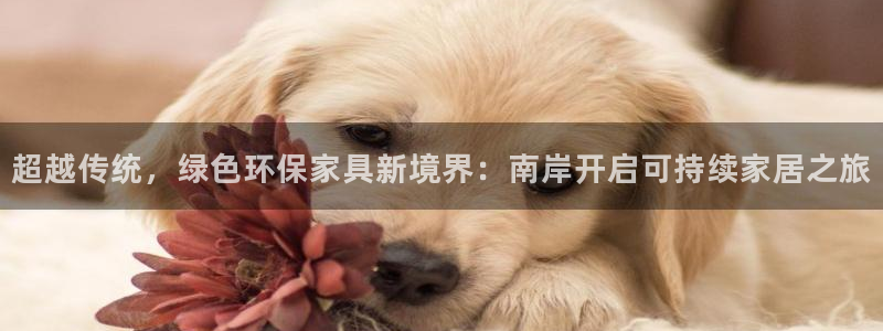 杏耀平台线路