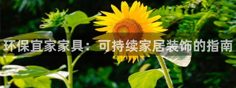 杏耀平台的专用通道