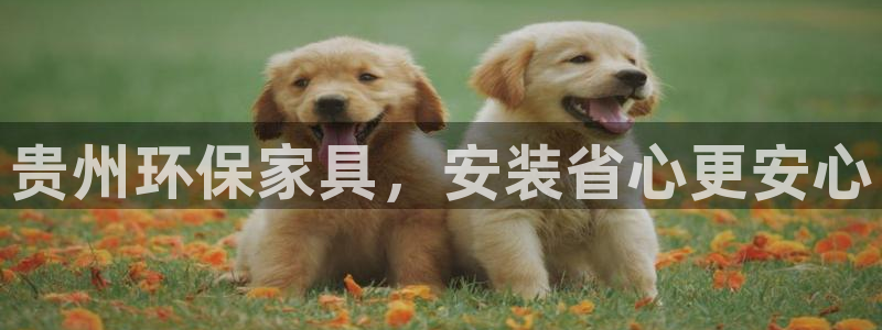 杏耀官网app