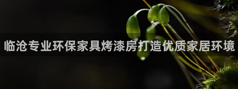 杏耀平台怎样