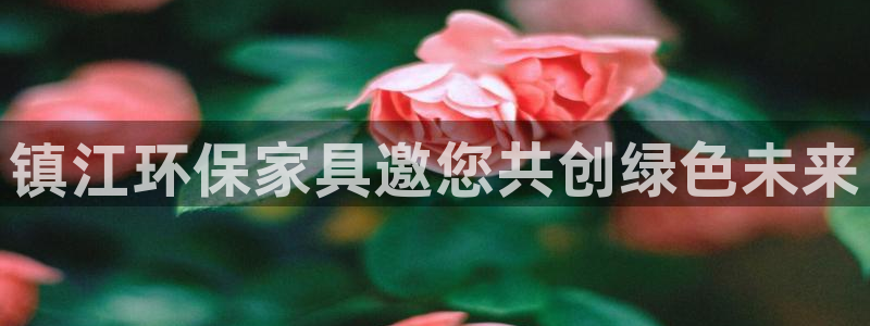 杏耀总代