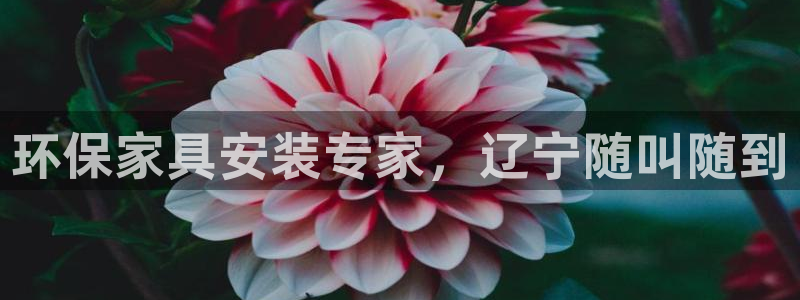 杏耀主管qq