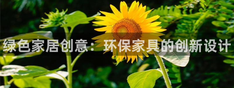 杏耀平台官网