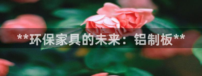 杏耀官方测速