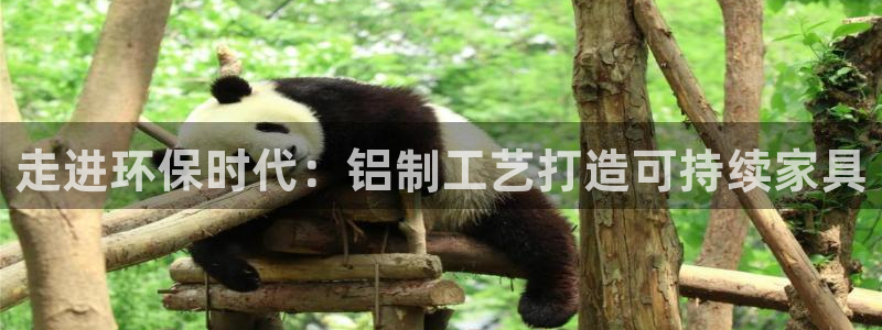 杏耀总代理