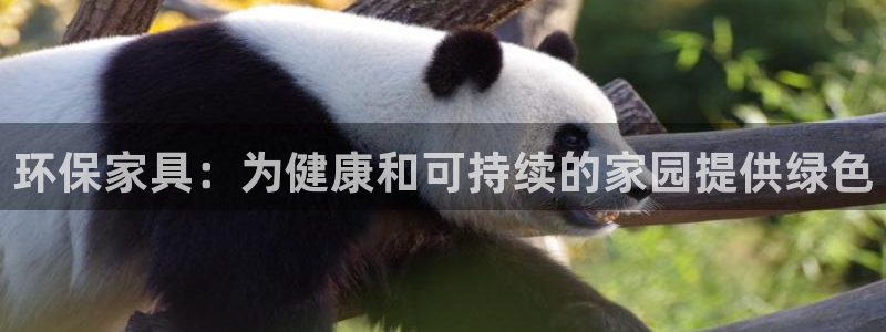 杏耀线路测速登录中心：环保家具：为健康和可持续的家园提供绿色