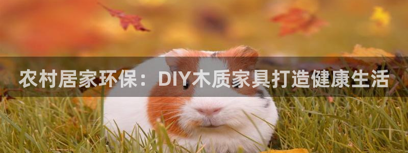 杏耀登陆线路