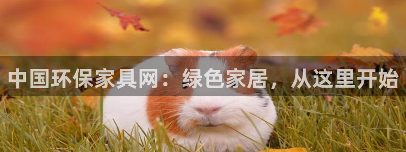 杏耀注册地址：中国环保家具网：绿色家居，从这里开始