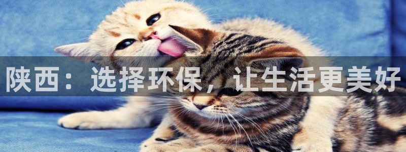 杏耀平台怎样