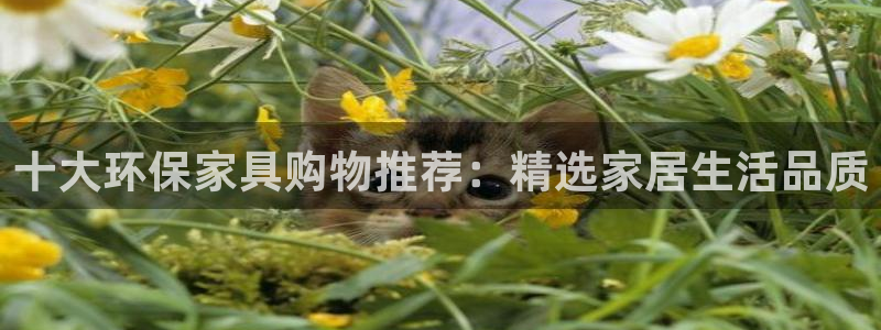 杏耀登录网页：十大环保家具购物推荐：精选家居生活品质