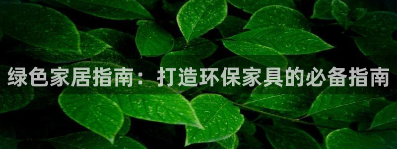 杏耀代理1980
