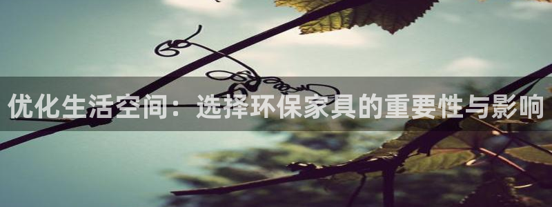 杏耀平台登录入口：优化生活空间：选择环保家具的重要性与影响