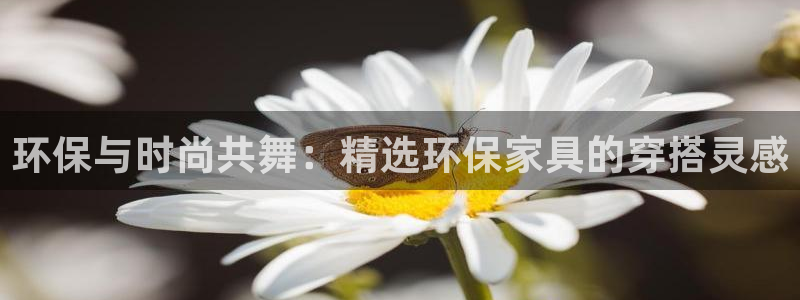 杏耀平台还在吗：环保与时尚共舞：精选环保家具的穿搭灵感
