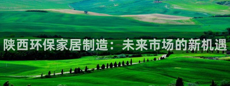 杏耀主管qq