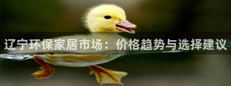 杏耀如何注册：辽宁环保家居市场：价格趋势与选择建议