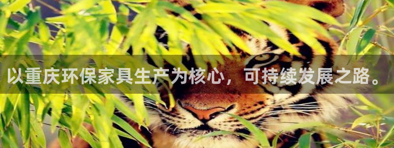 杏耀平台代理