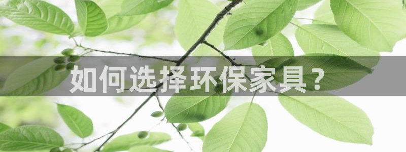 杏耀官网网站中心