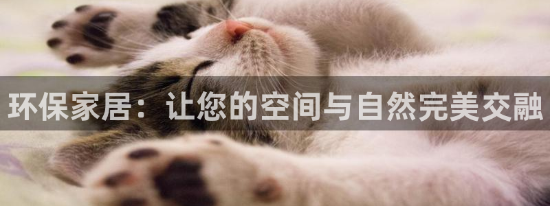 杏耀总代理