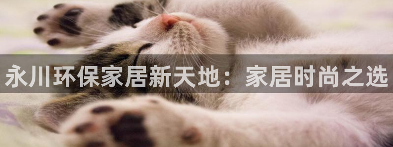 杏耀代理连接：永川环保家居新天地：家居时尚之选