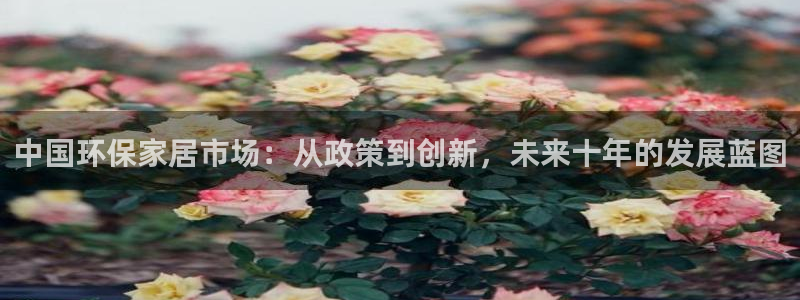 杏耀官网客服：中国环保家居市场：从政策到创新，未来十年的发展