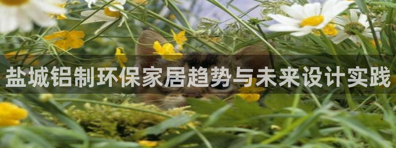 杏耀平台分红：盐城铝制环保家居趋势与未来设计实践