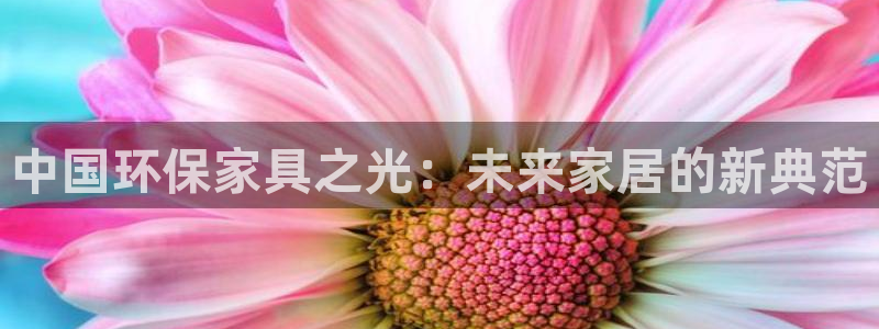 杏耀平台注册入口：中国环保家具之光：未来家居的新典范