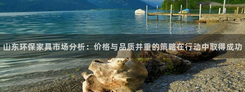 杏耀平台登陆测速：山东环保家具市场分析：价格与品质并重的策略