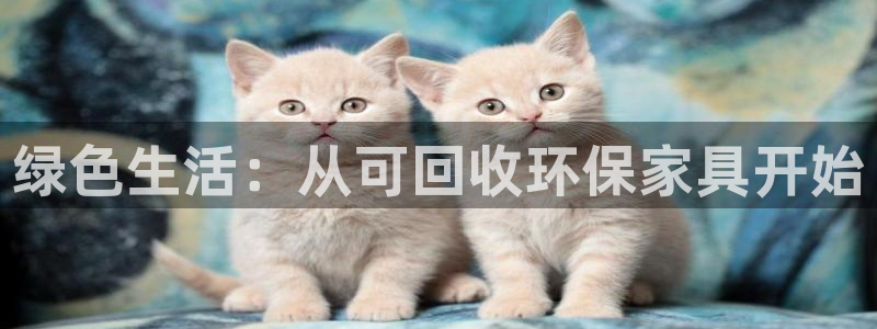 杏耀平台注册代理：绿色生活：从可回收环保家具开始