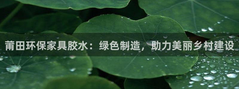 杏耀代理主管qq：莆田环保家具胶水：绿色制造，助力美丽乡村建