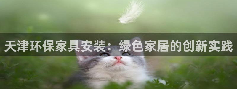 杏耀注册网址：天津环保家具安装：绿色家居的创新实践