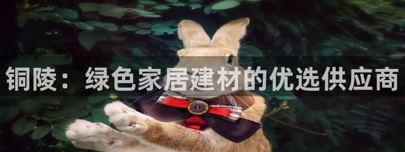 杏耀平台线路测试