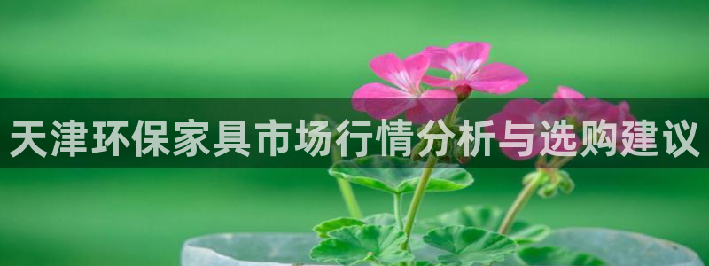 杏耀平台代理怎么赚钱快：天津环保家具市场行情分析与选购建议