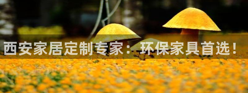 杏耀平台手机：西安家居定制专家：环保家具首选！