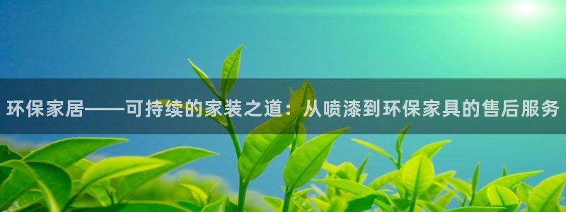 杏耀平台登录网址：环保家居——可持续的家装之道：从喷漆到环保