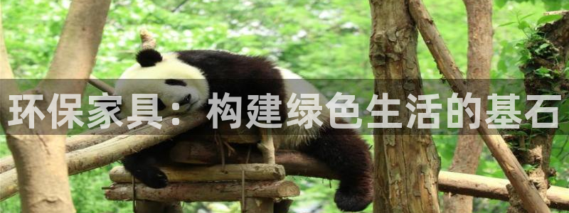 杏耀代理日工资多少：环保家具：构建绿色生活的基石