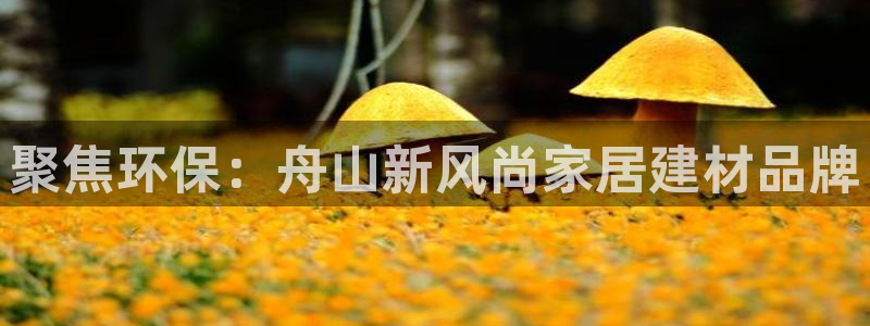 杏耀代理主管qq