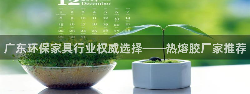 杏耀注册登录平台：广东环保家具行业权威选择——热熔胶厂家推荐